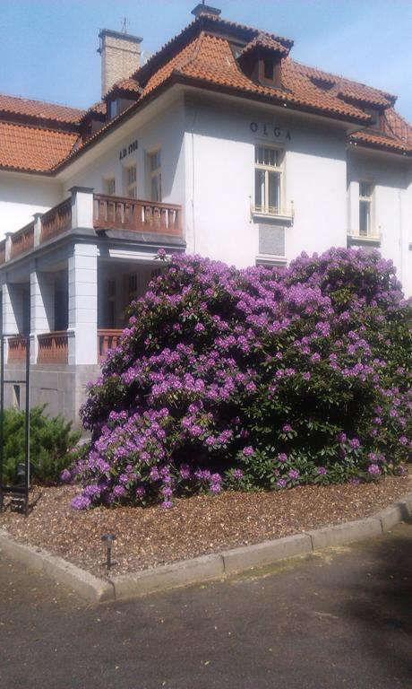 Vila Olga Jevany Buitenkant foto