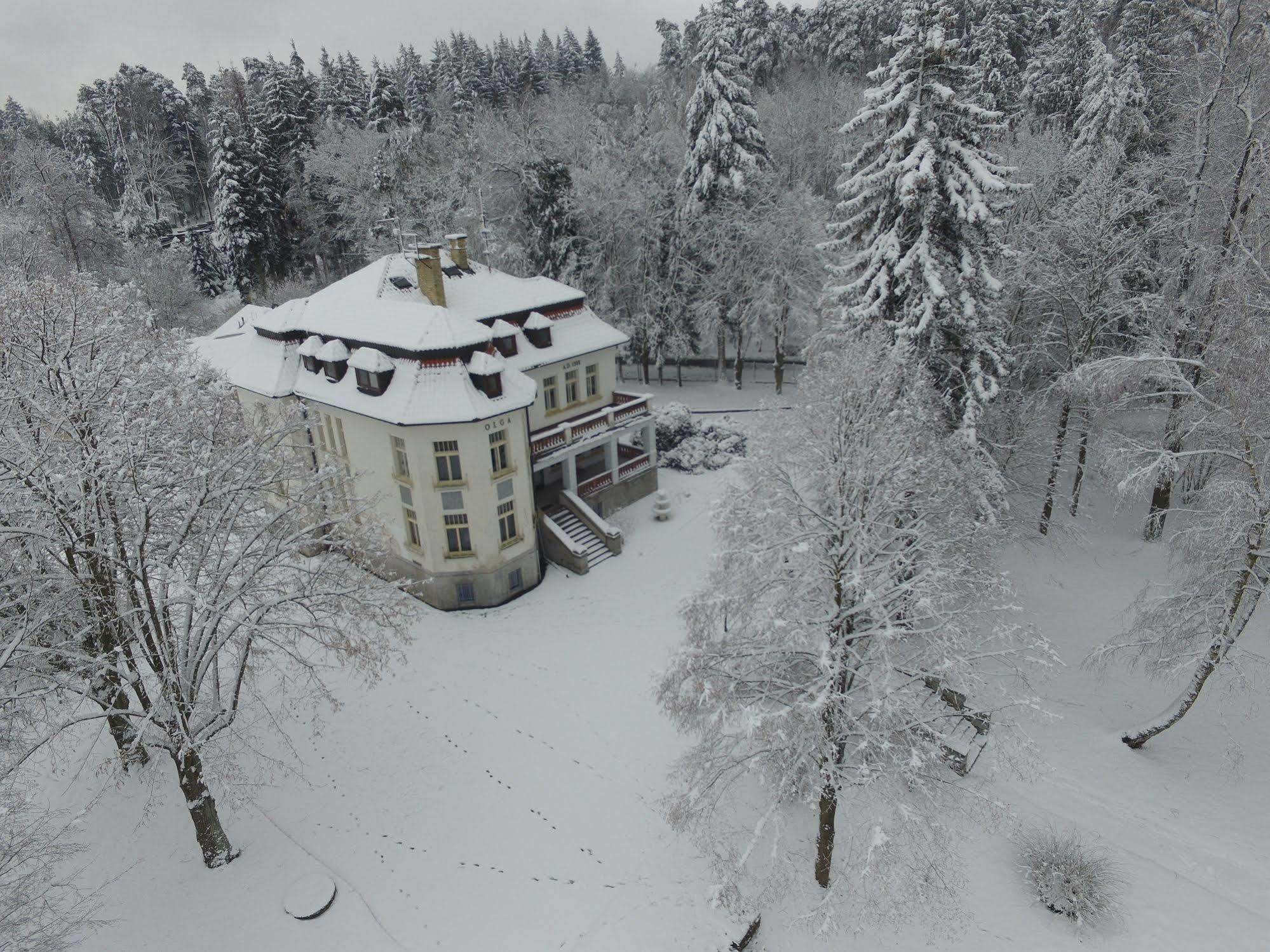 Vila Olga Jevany Buitenkant foto